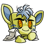 Petpet Ray