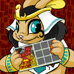 500np/ 4 hrs